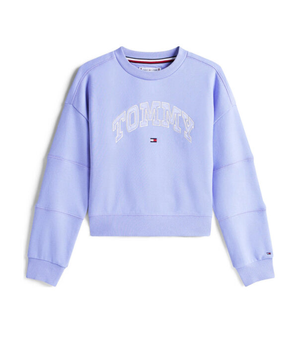 Tommy Hilfiger Sweater