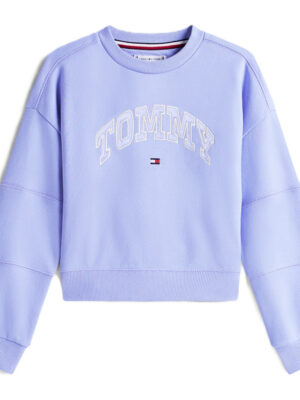 tommy hilfiger varsity sweater