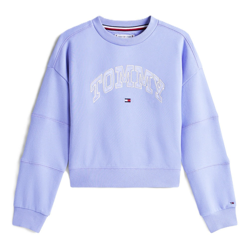 tommy hilfiger varsity sweater