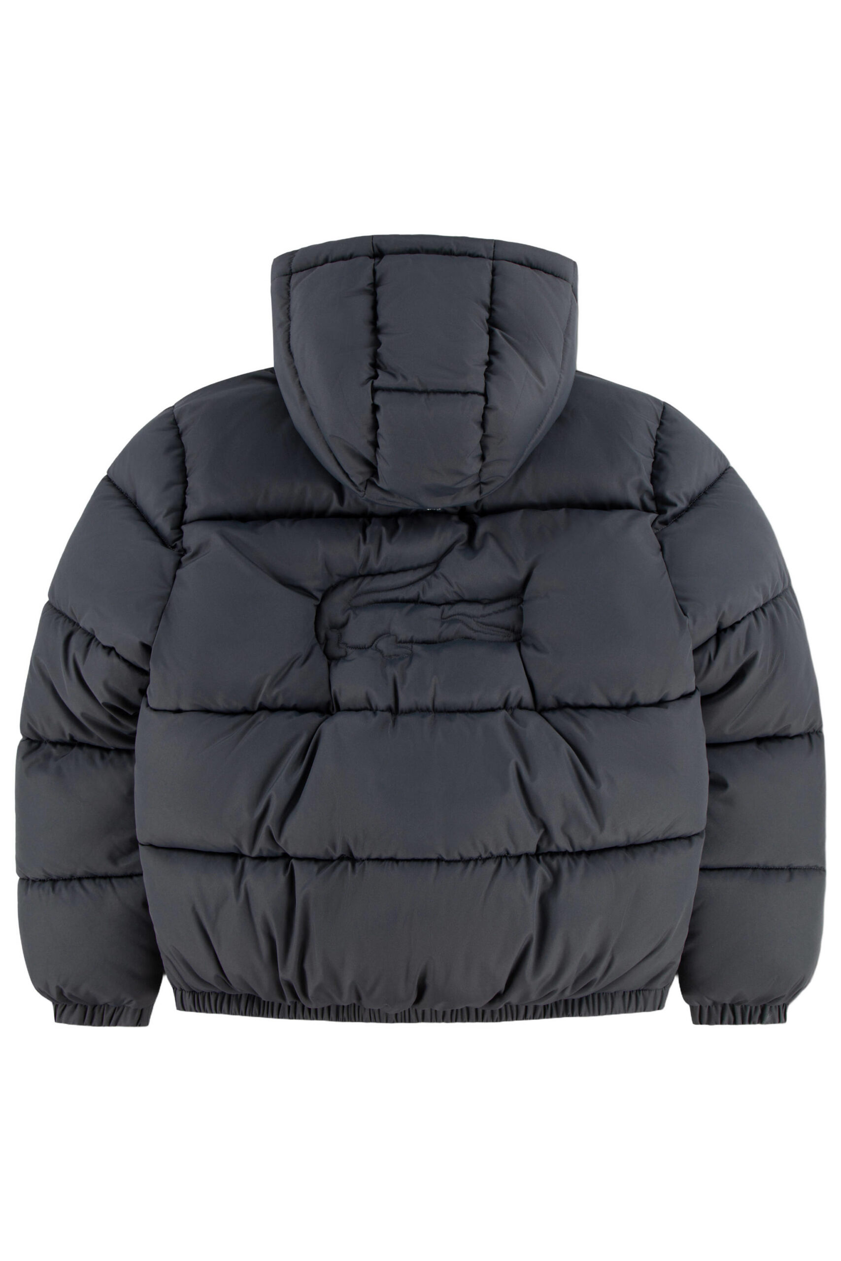 Lacoste winterjas - Afbeelding 2