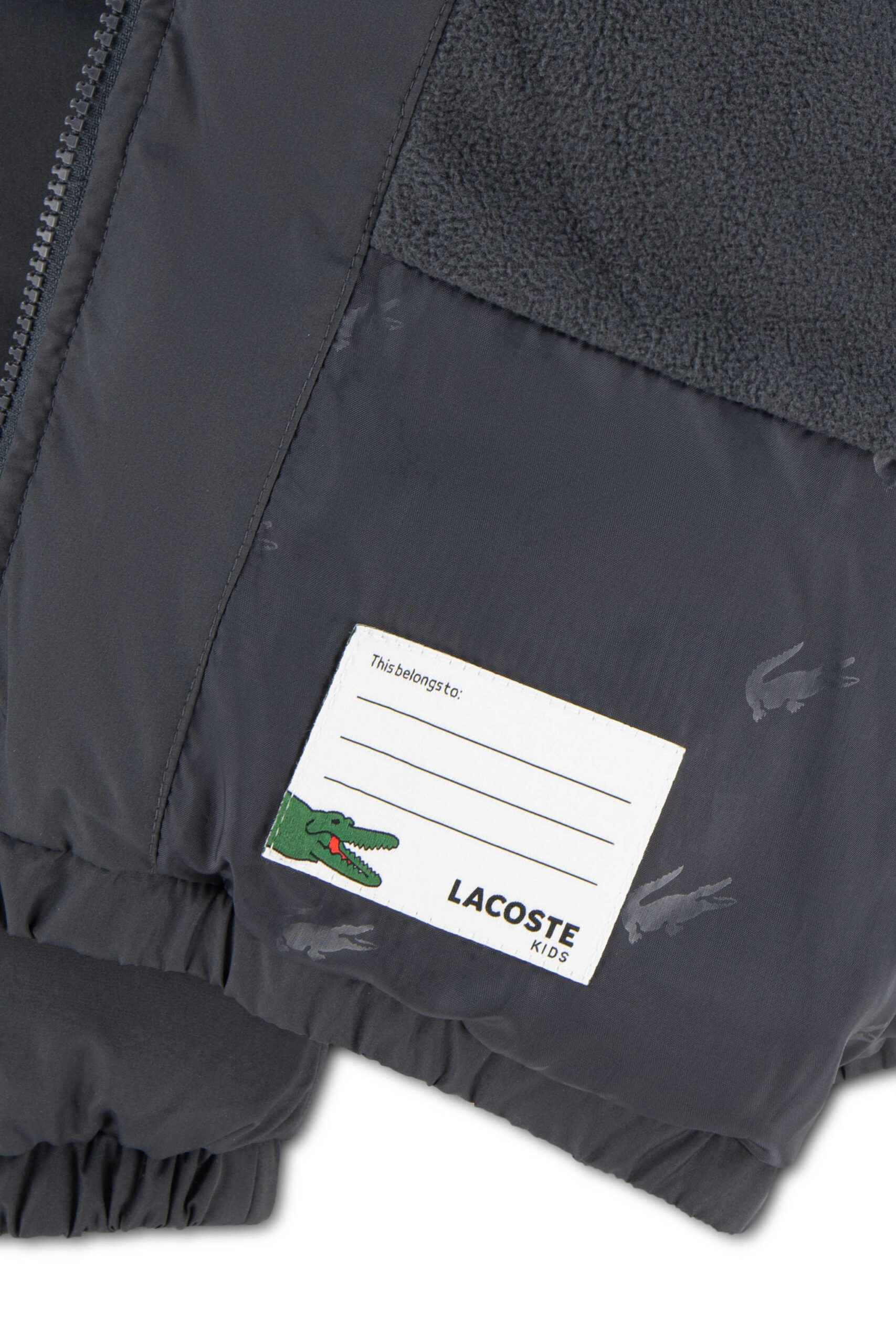 Lacoste winterjas - Afbeelding 3
